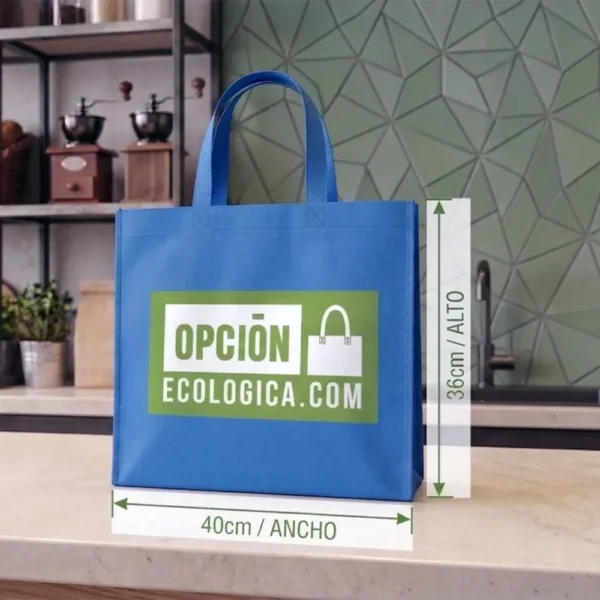Bolsa Plana ASAS